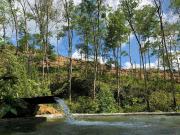 Achinthya Nature Resort