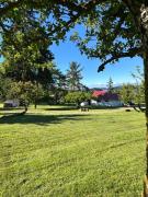 Top Oak Harbor