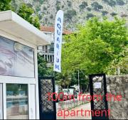 Top Kotor
