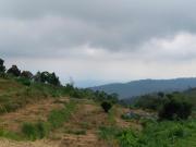Top Munduk