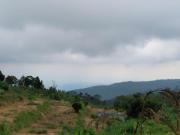 Top Munduk