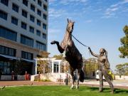 Top Warwick Farm