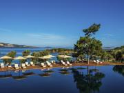 Top Torba