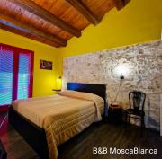 Top Ascoli Piceno