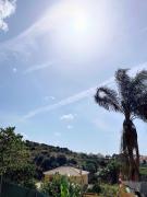 Top Marbella