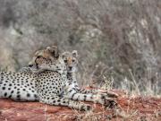 Tausa Tsavo Eco Lodge