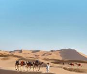 Camp Desert Trails