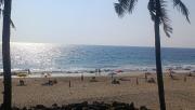 Top Varkala