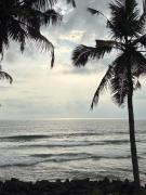 Top Varkala