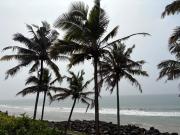 Top Varkala
