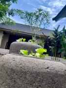 Top Ungasan