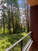 Top Zlatibor