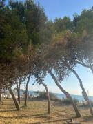 Top Rivabella