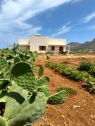 Top Favignana