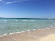 Top Torre Lapillo