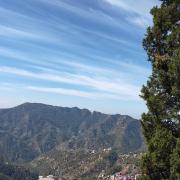 Top Shimla