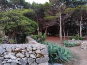 Top Favignana