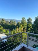 Top Pogradec Top Pogradec