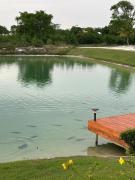 Punta Cana Tropic Loft Jacuzzi & terrace