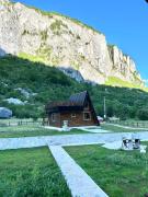 Top Šavnik
