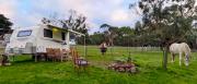 Top Gisborne