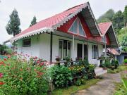 Top Pedong