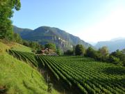 Top Montagna