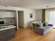 Apartment Melitta with pool access