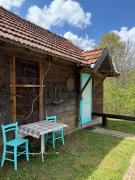 Top Ivanjica
