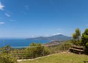 Top Ascea