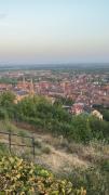Top Obernai
