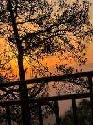 Top Almora