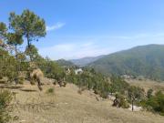 Top Almora