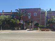 Top Oliveri