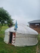 Mongol champing