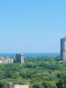 Top Odesa