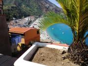 Top Scilla