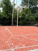 Top Kollam