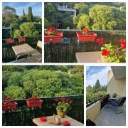 Top Montpellier