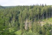 Top Suhl