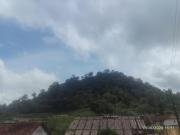 Tvkhomestay
