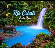 Top Rio Celeste