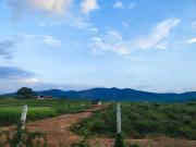 Top Bukit Kayu Hitam