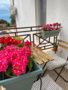 Cozy apartment by the beach in Byala
