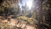 Top Big Bear Lake