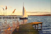 Top Serock