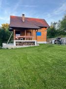 Vila Vlasinski mir
