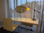 Spacious 165 m2 4 bedroom Flat and Roof Terrace in the Heart of Riga