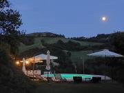 Top Urbino