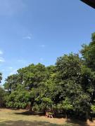Top Auroville